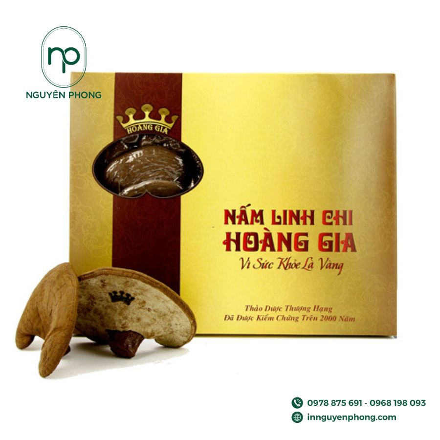in-hop-giay-dung-linh-chi-gia-re-tai-ha-noi